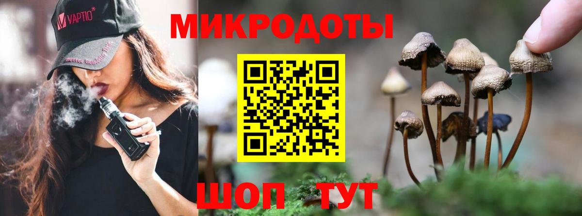 Псилоцибиновые грибы Psilocybine cubensis Мирный